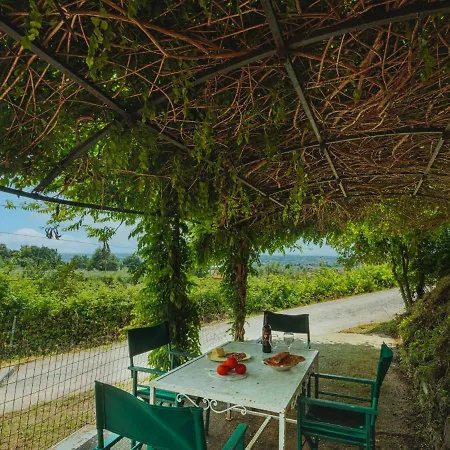 Holiday home La Ferriera By Interhome